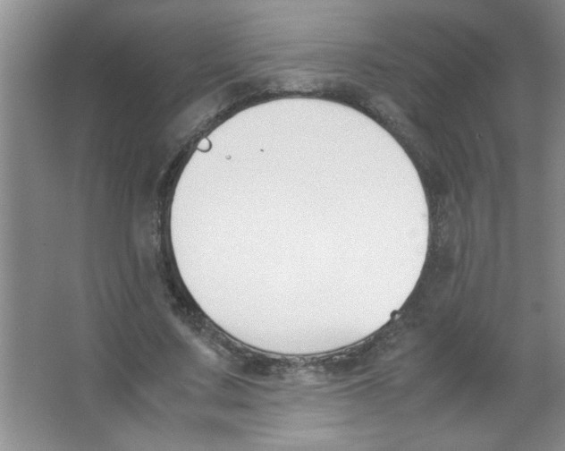 X0000063520683200602101952