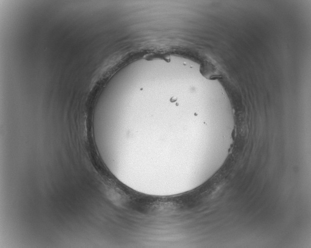 X0000063520685200602101952