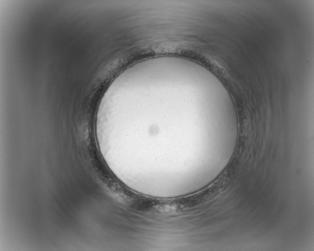 X0000063520687200602101952