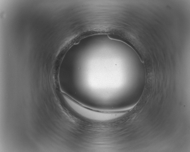 X0000063520688200602101952