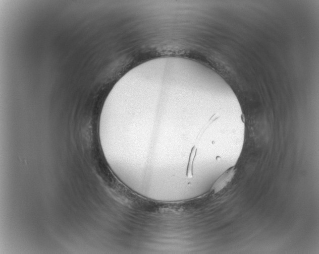 X0000063520690200602101952