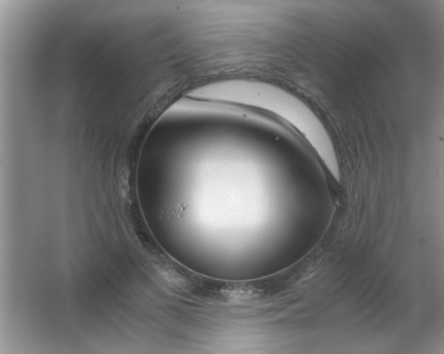 X0000063520693200602101952