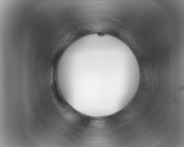 X0000063520694200602101952