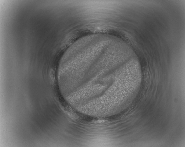 X0000063520695200602101952