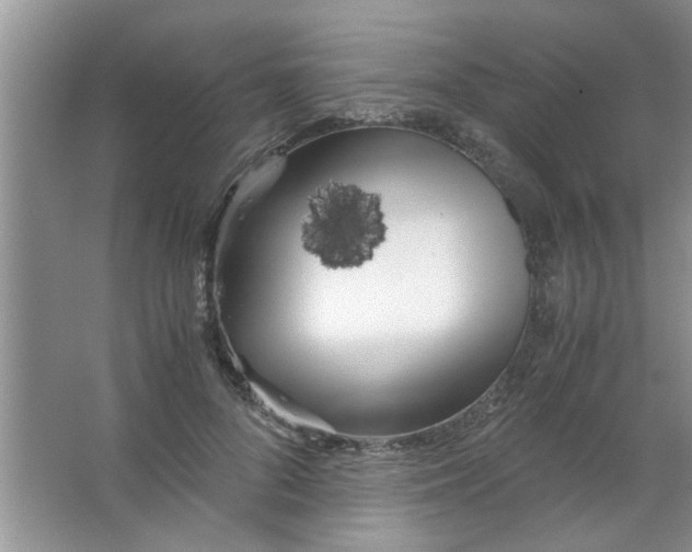 X0000063520696200602101952