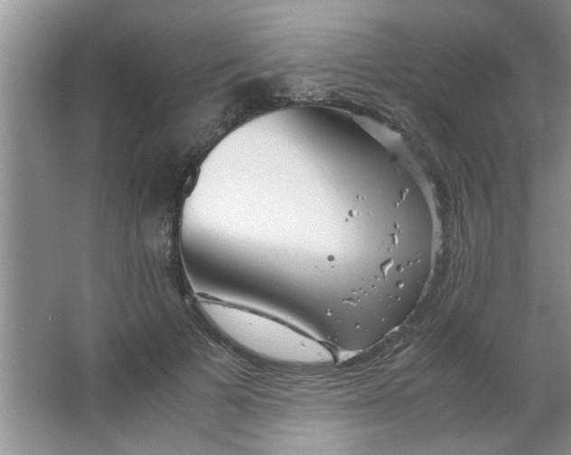 X0000063520697200602101952