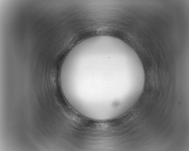 X0000063520698200602101952