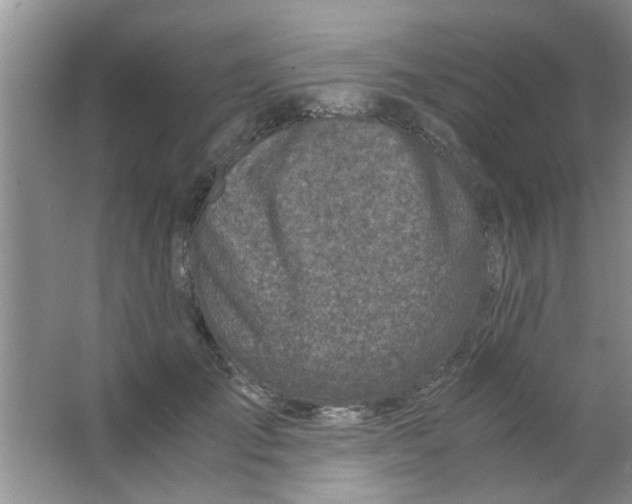 X0000063520701200602101952