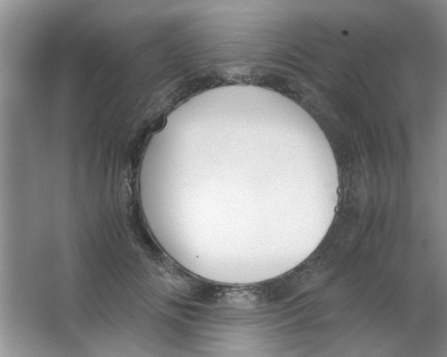 X0000063520702200602101952