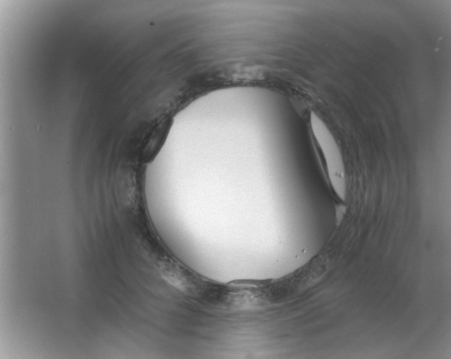 X0000063520704200602101952