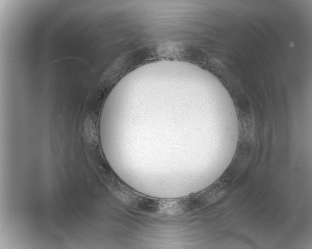 X0000063520705200602101951