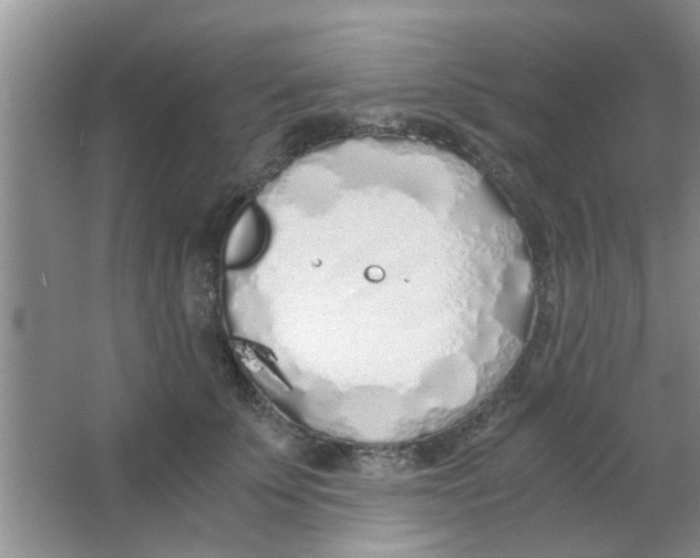 X0000063520707200602101951