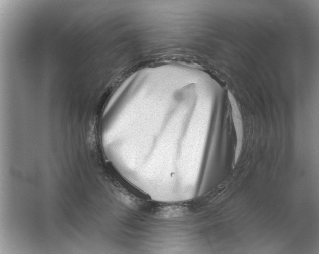 X0000063520708200602101951