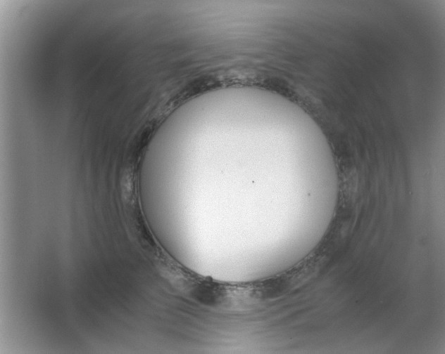 X0000063520709200602101951