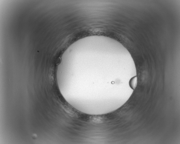 X0000063520710200602101951