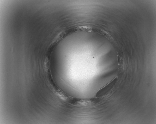 X0000063520712200602101951