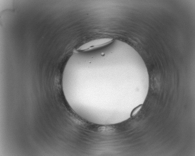 X0000063520714200602101951