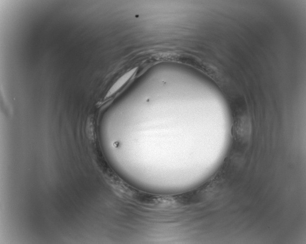 X0000063520715200602101951