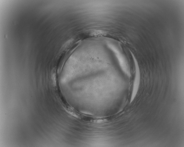 X0000063520716200602101951