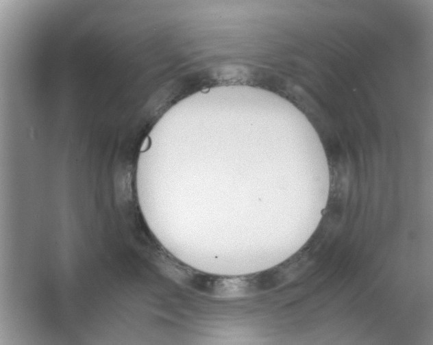 X0000063520717200602101951