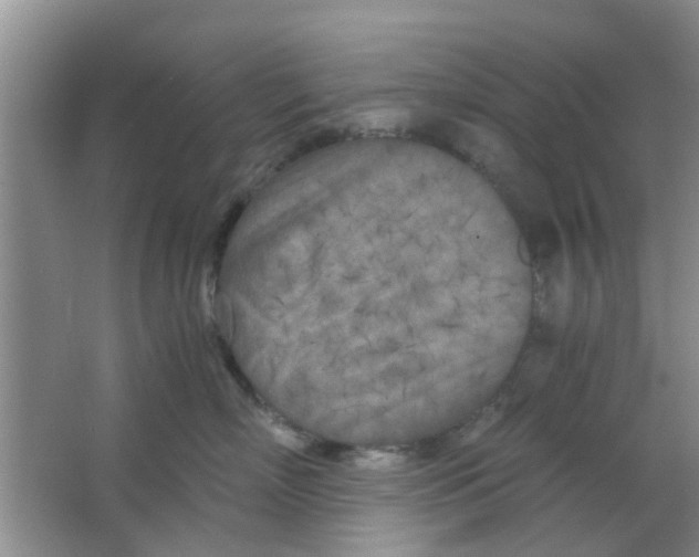 X0000063520718200602101951