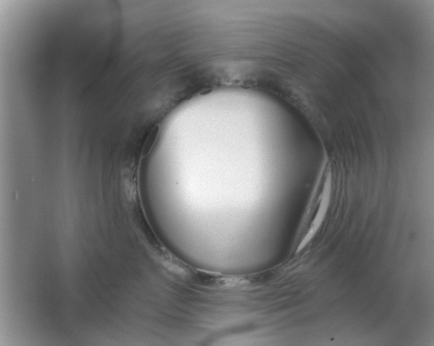 X0000063520719200602101951