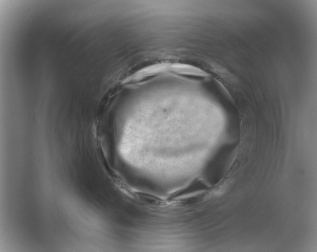 X0000063520720200602101951