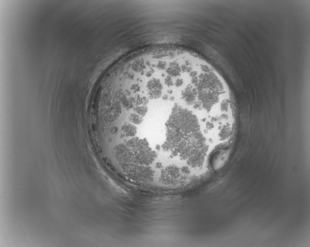 X0000063520721200602101950