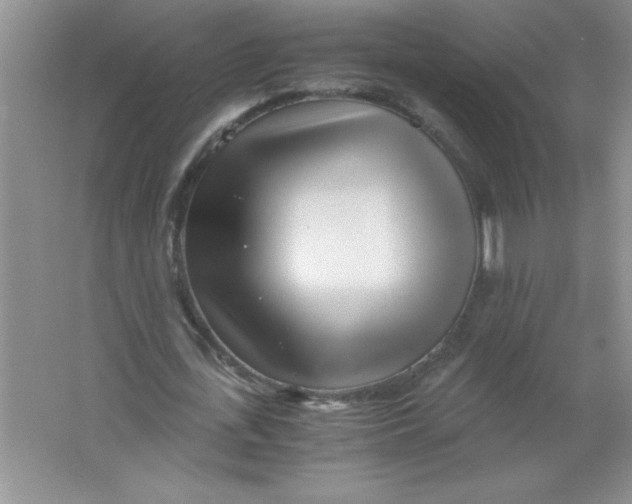 X0000063520723200602101950