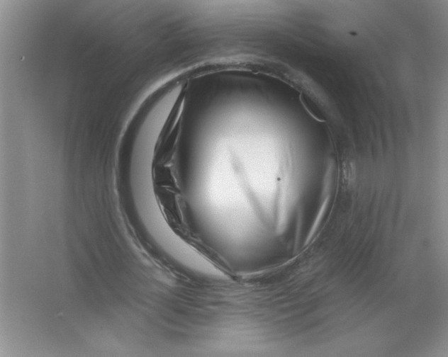 X0000063520724200602101950