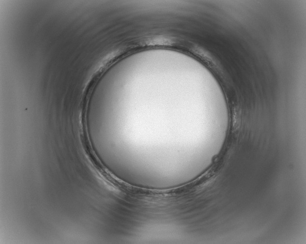 X0000063520725200602101950