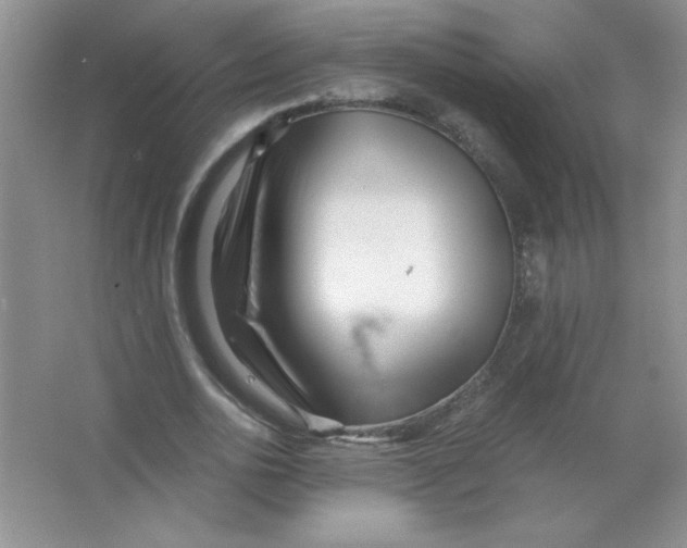 X0000063520726200602101951