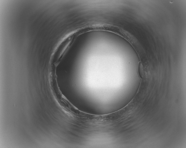 X0000063520728200602101951