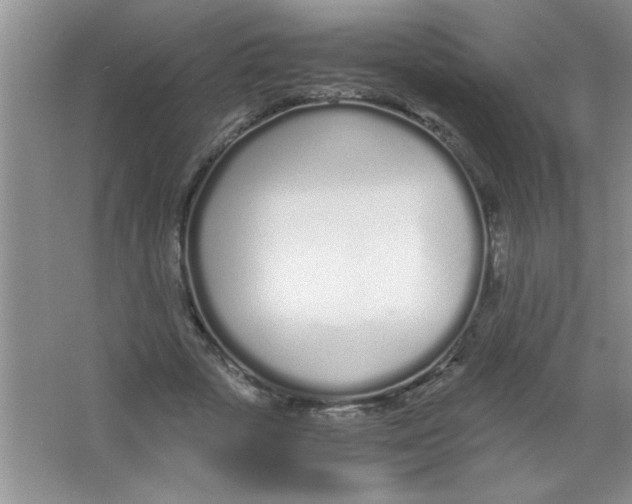 X0000063520729200602101951