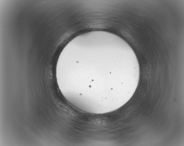 X0000063520731200602101951