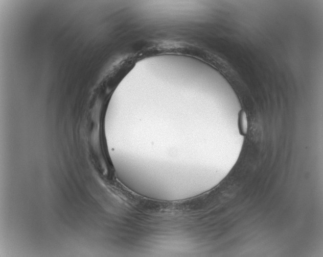 X0000063520732200602101951