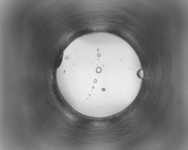 X0000063520733200602101951