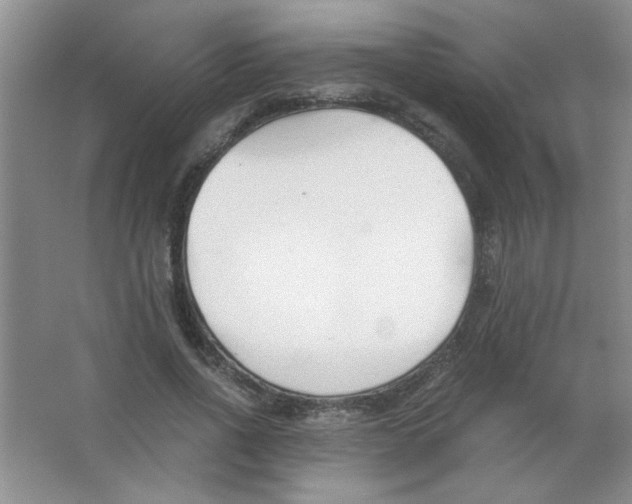 X0000063520734200602101951