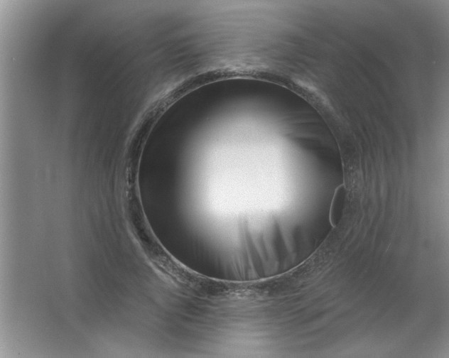 X0000063520736200602101951