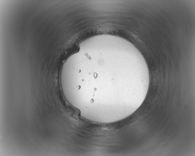 X0000063520737200602101951