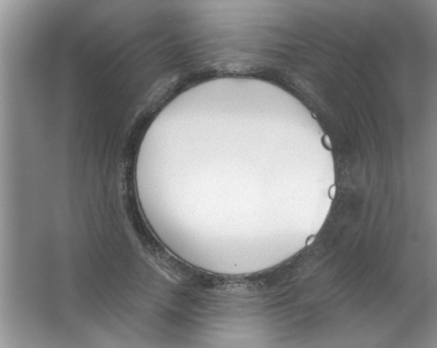 X0000063520738200602101951