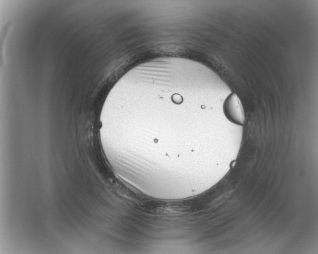 X0000063520739200602101951