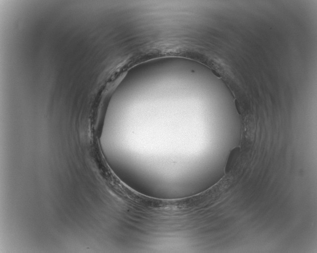 X0000063520740200602101951