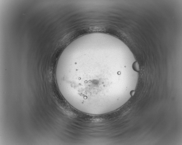 X0000063520741200602101951