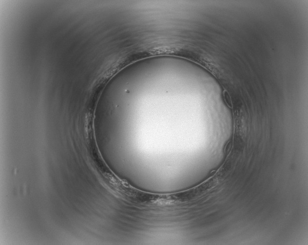 X0000063520742200602101951