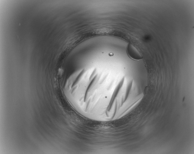 X0000063520743200602101951