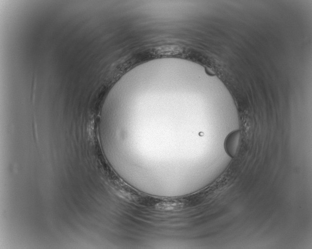 X0000063520745200602101951