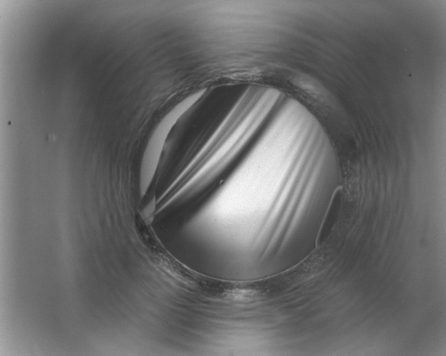 X0000063520748200602101951