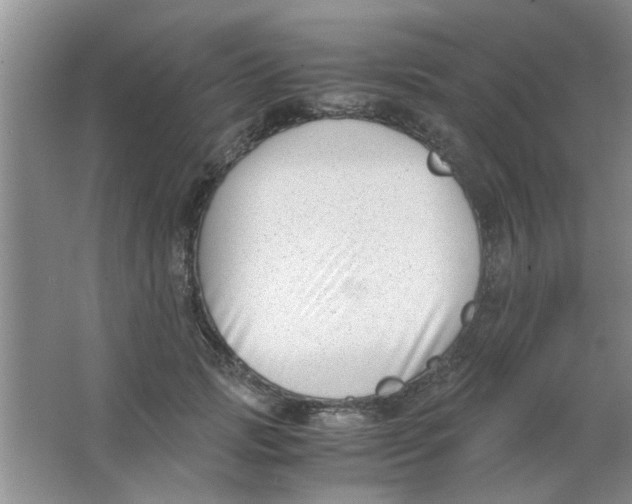 X0000063520749200602101951