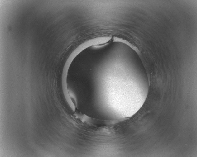 X0000063520750200602101951